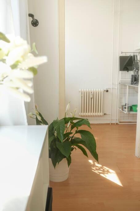 Stadtoase Wohnung Nahe Hauptbahnhof Koblenc Exteriér fotografie